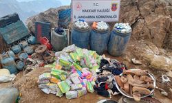 Hakkari'de terör örgütü PKK'ya operasyon