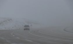 Van ve Hakkari'de kar ve sis etkili oldu