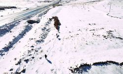 Iğdır’da kar yağışı sonrası hayvan sürülerinin zorlu kış dönüşü başladı