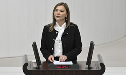 MHP'li Ersoy Genel Kurulda konuştu