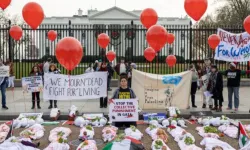 Beyaz Saray'ın önüne kefene sarılmış bebekler bırakıldı
