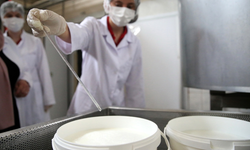 Çiğ süt ile ilgili karar 31 Aralık 2028'e kadar uzatıldı