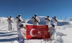 Mehmetçik'ten videolu yeni yıl paylaşımı