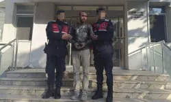 Aranan PKK'lı terörist jandarma uygulamasında yakalandı