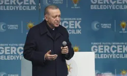 Cumhurbaşkanı Erdoğan: Türkiye en zor süreçleri en başarılı yöneten ülkelerden biri