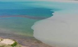Van Gölü renk değiştirdi