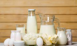 Süt ve süt ürünleri üretiminde büyük artış