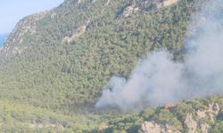 Antalya'da orman yangını! Bölgeye orman ekipleri sevk edildi