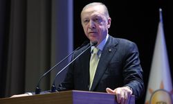 Cumhurbaşkanı Erdoğan, Slovakya Başbakanı Fico'ya düzenlenen suikast girişimini kınadı