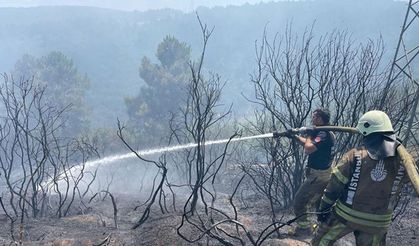 İstanbul'da ormanlık alanda yangın çıktı