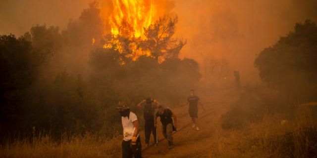 Yunanistan'da son 20 yıldaki orman yangınlarında yaklaşık 3 milyon dönüm zarar gördü
