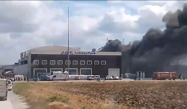 Silivri'de fabrikada yangın çıktı! İşçiler tahliye ediliyor