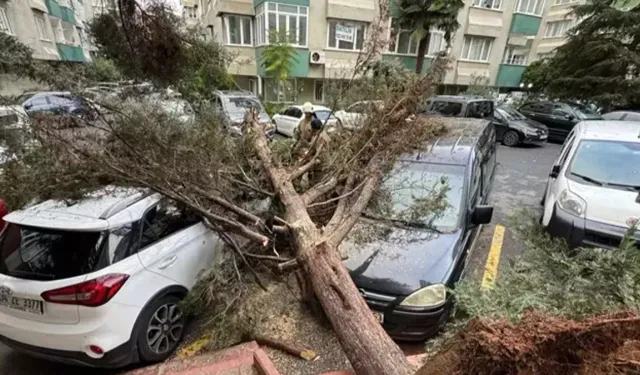 İstanbul'daki fırtınanın bilançosu açıklandı