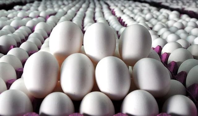 Mart ayında en çok yumurtanın fiyatı düştü!