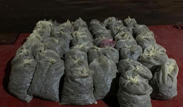 İstanbul'da 8 ton kaçak avlanan midye ele geçirildi