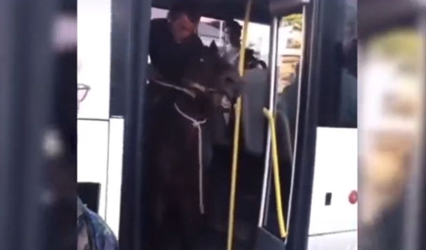 Kars'ta sıradan bir gün: Atıyla otobüse bindi