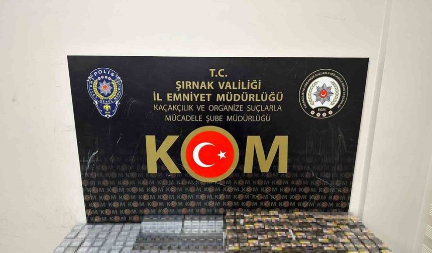 Şırnak’ta kaçakçılık ve asayiş operasyonu: 65 gözaltı