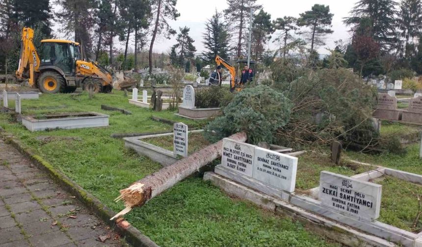 Şiddetli fırtına şehir mezarlığında hasara yol açtı