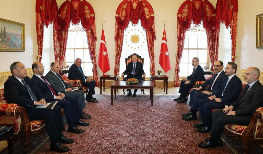 Cumhurbaşkanı Erdoğan Mısır Dışişleri Bakanı Shoukry'i görüşmesinin detayları açıklandı