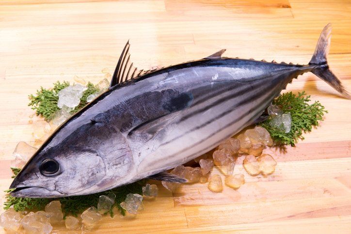 A vitamini, folik asit, fosfor ve potasyum ile de kişilerin en iyi sağlık alternatiflerini sunduğunu gösteriyor. İşte palamut balığının faydaları…