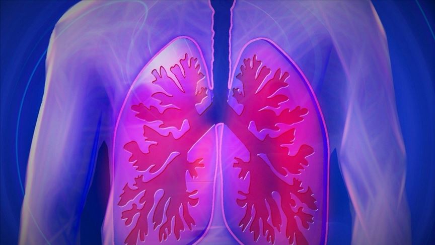 Akciğer kanserinin erken evrede tespit edilebilmesi için, her belirtinin ayrıntılı değerlendirilmesi ve ihmal edilmeden bir uzmana danışılması gerekiyor. Akciğer kanserinin ilk belirtilerinden biri şiddetli, değişik renkte balgamlı öksürük.