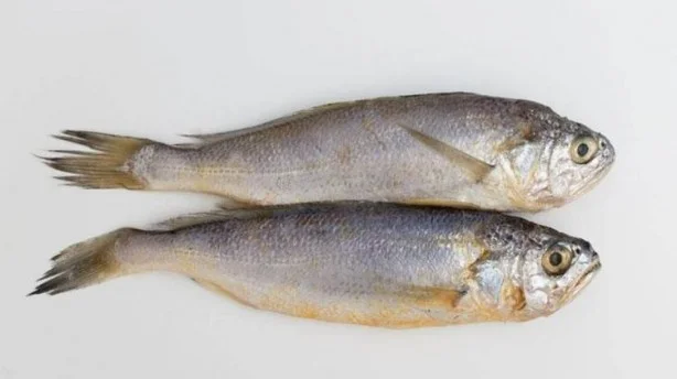 Prof. Dr. Karatay, hafızayı güçlendirmek ve sağlığı korumak için mutlaka balık tüketilmesi gerektiğini belirtiyor. Ancak satın aldığımız balıkların taze olması şart. Bayat balık tüketimi birçok kişide gıda zehirlenmelerine, tedavi edilmediği takdirde ise ölümlere neden olabilir.