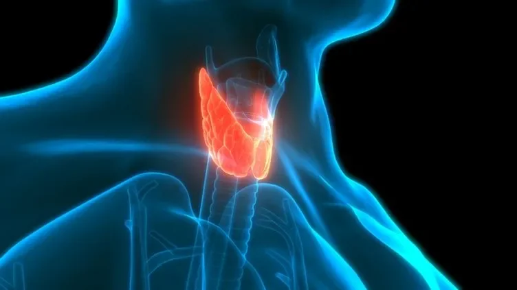 Az çalışan tiroidden demir eksikliğine kadar kaşlarınız vücudunuzun diğer bölgelerindeki sağlık sorunlarına karşı sizi uyarabilir.