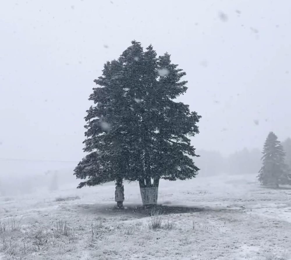 ULUDAĞ’DA KAR YAĞIŞI ETKİLİ OLUYOR
16 Kasım’da Uludağ’a sezonun ilk yarı yağmıştı. Dün öğle saatlerinde başlayan kar yağışı etkili olarak devam ediyor.
