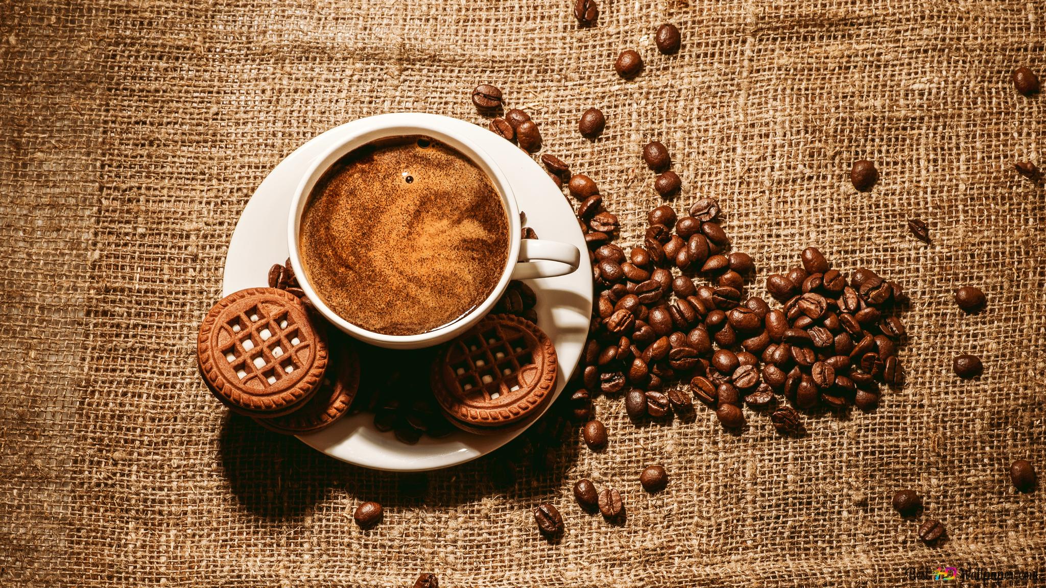 A Cup Of Coffee Paired With Sweet Cookies And Biscuits Wallpaper 2048X1152 49